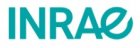 image INRAE.jpg (5.9kB)